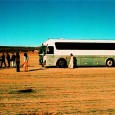 Edward Sharpe and the Magnetic Zeros redefine the term ‘cult following’...