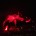 :: Roger Waters performing The Wall :: :: Pepsi Center ::...