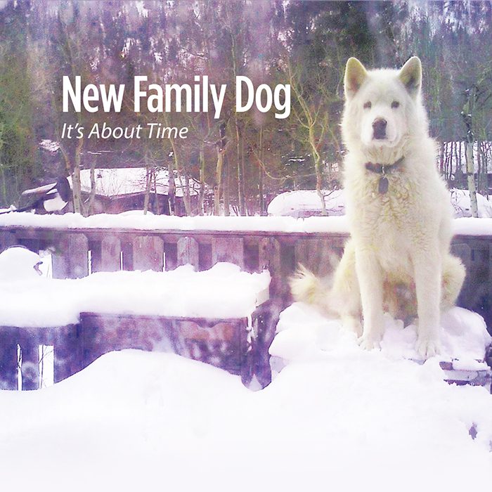 White dog sitting on snowy deck outside.