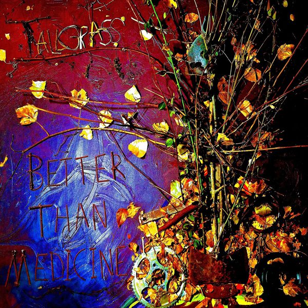 Colorful album cover with branches and leaves.