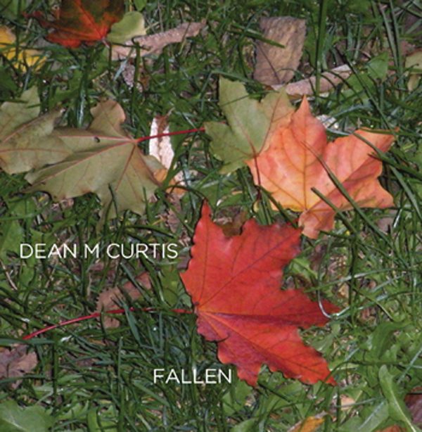 Colorful autumn leaves scattered on the grass.