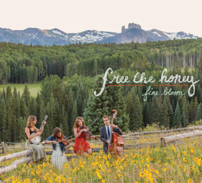 Band playing instruments in scenic mountain field.