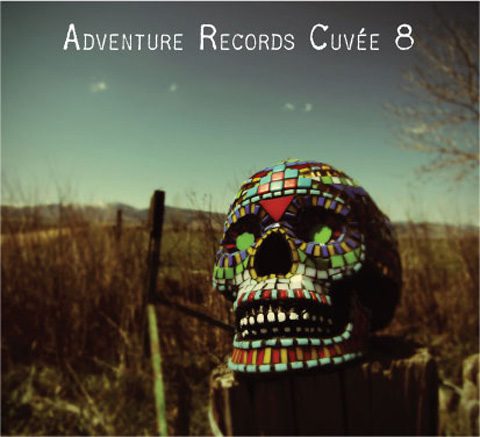 Colorful mosaic skull in outdoor setting.