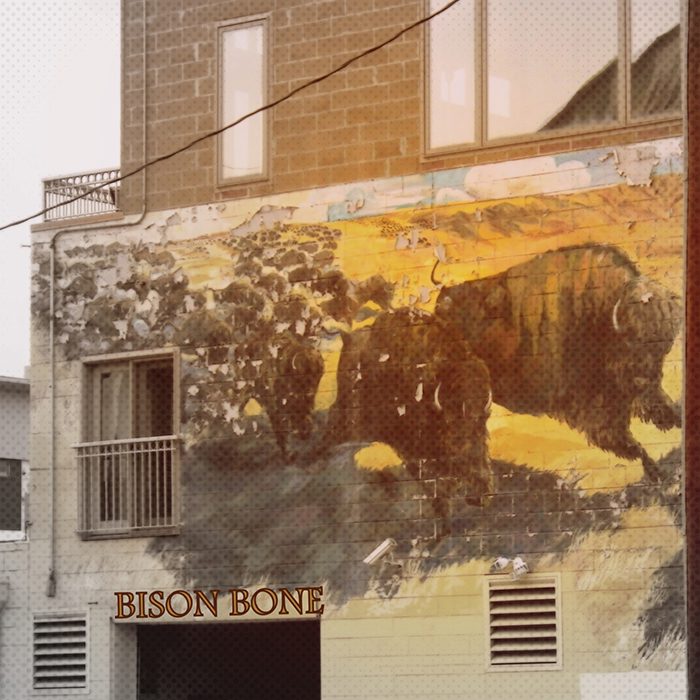 Mural of bison on urban building wall.