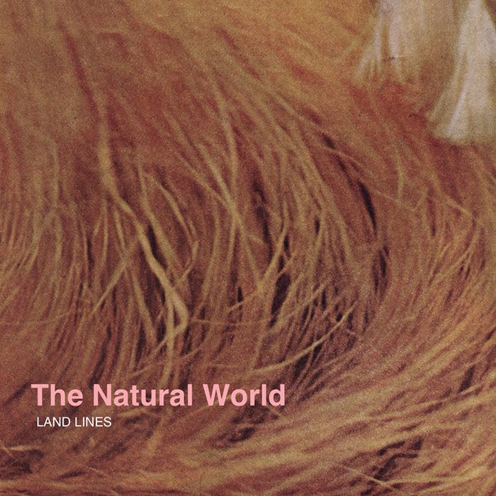Abstract texture with "The Natural World" text.