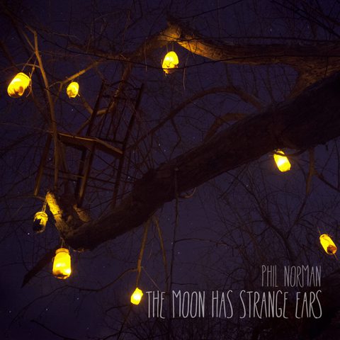 Glowing lanterns hanging from tree branches.