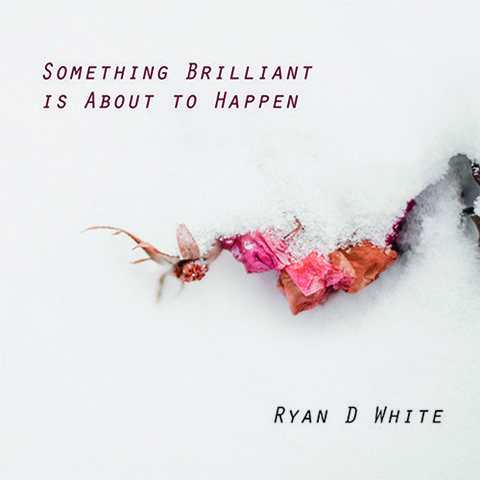 Snow-covered flowers with motivational text overlay.