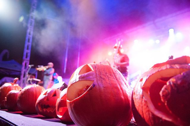 Carved pumpkins at a colorful music event.