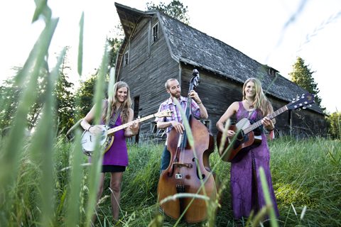 Musicians playing instruments in grassy field.