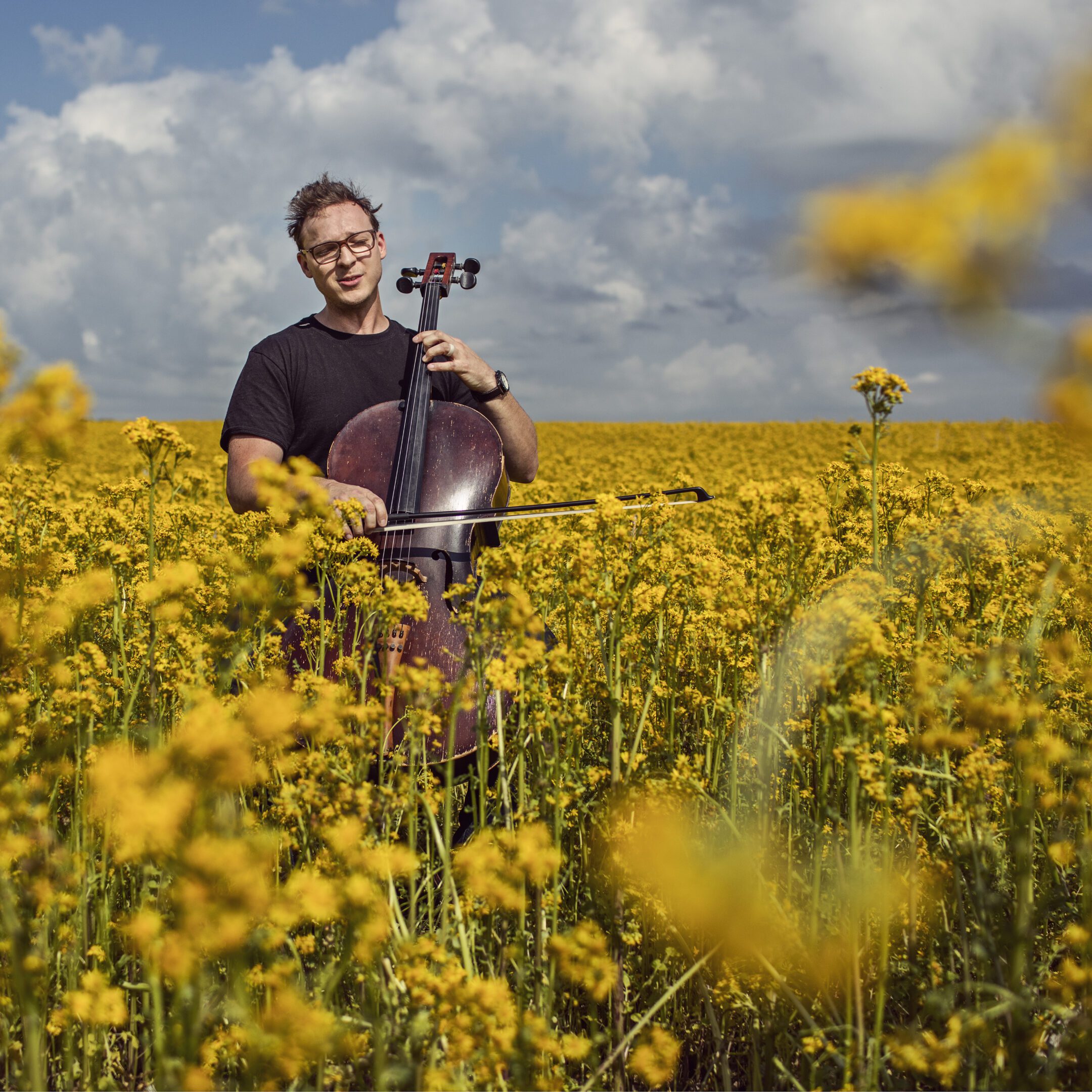 Cellist playing in yellow flower field.