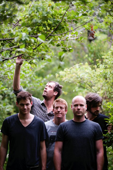 Five men standing in lush green forest.