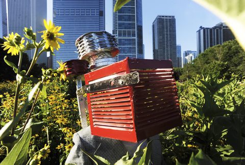 Red robotic head amidst urban greenery.