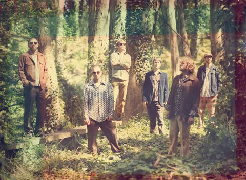 Group of people standing in a forest.