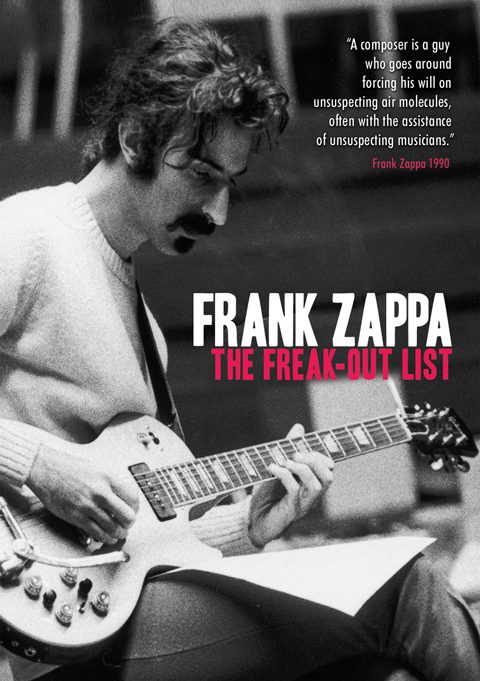 Musician playing guitar, black and white poster.