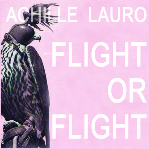 Falcon with text on pink background.