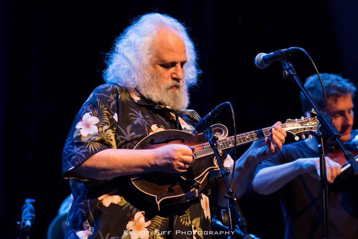 Musician playing mandolin on stage at concert.