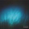 Blue glowing abstract underwater scene with plants.