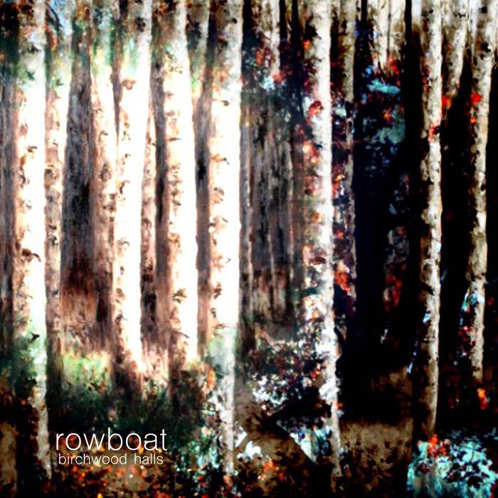 Birch trees in a dense forest scene.