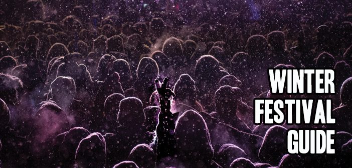 Crowd enjoying a snowy winter festival.