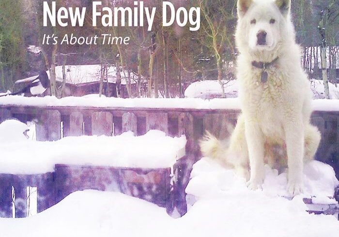 White dog sitting on snowy deck outside.