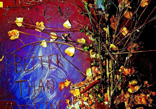 Colorful album cover with branches and leaves.