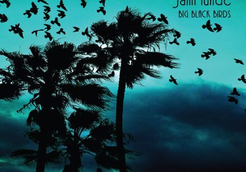 Silhouetted palm trees and birds at dusk.