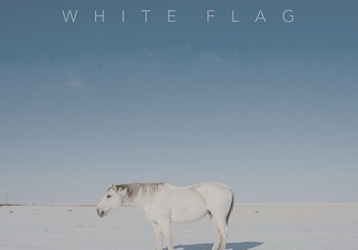White horse on snowy landscape under sky.