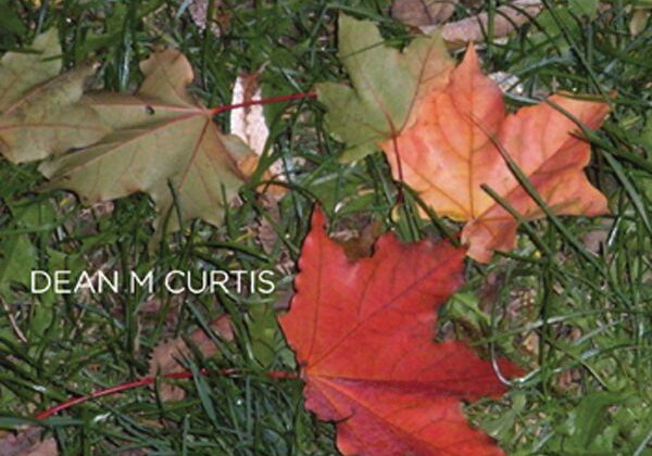 Colorful autumn leaves scattered on the grass.