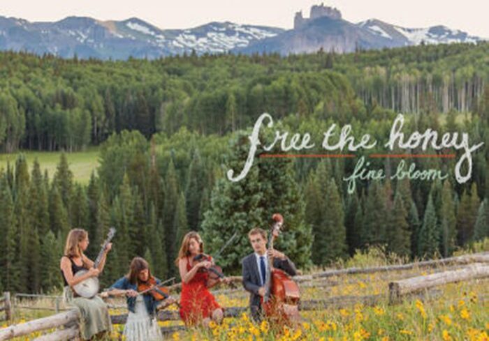 Band playing instruments in scenic mountain field.