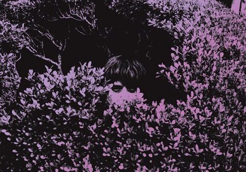 Person partially hidden behind a bush.