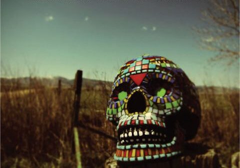 Colorful mosaic skull in outdoor setting.