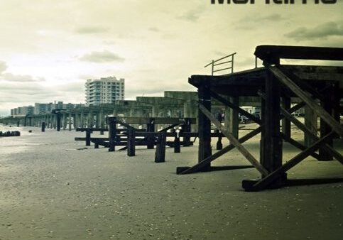 Beachfront with pier and overcast sky.