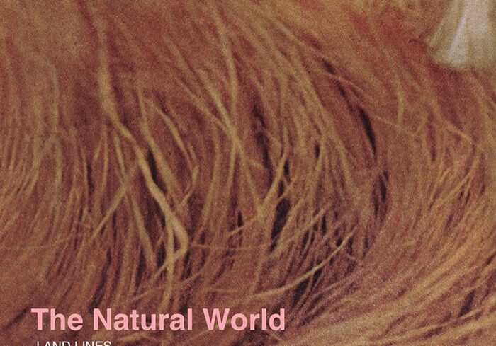 Abstract texture with "The Natural World" text.