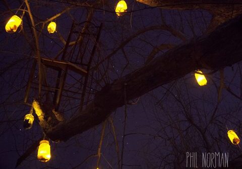 Glowing lanterns hanging from tree branches.
