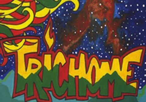 Colorful "Trichome" artwork with cosmic background.
