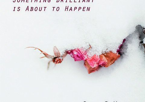 Snow-covered flowers with motivational text overlay.