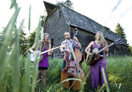 Musicians playing instruments in grassy field.