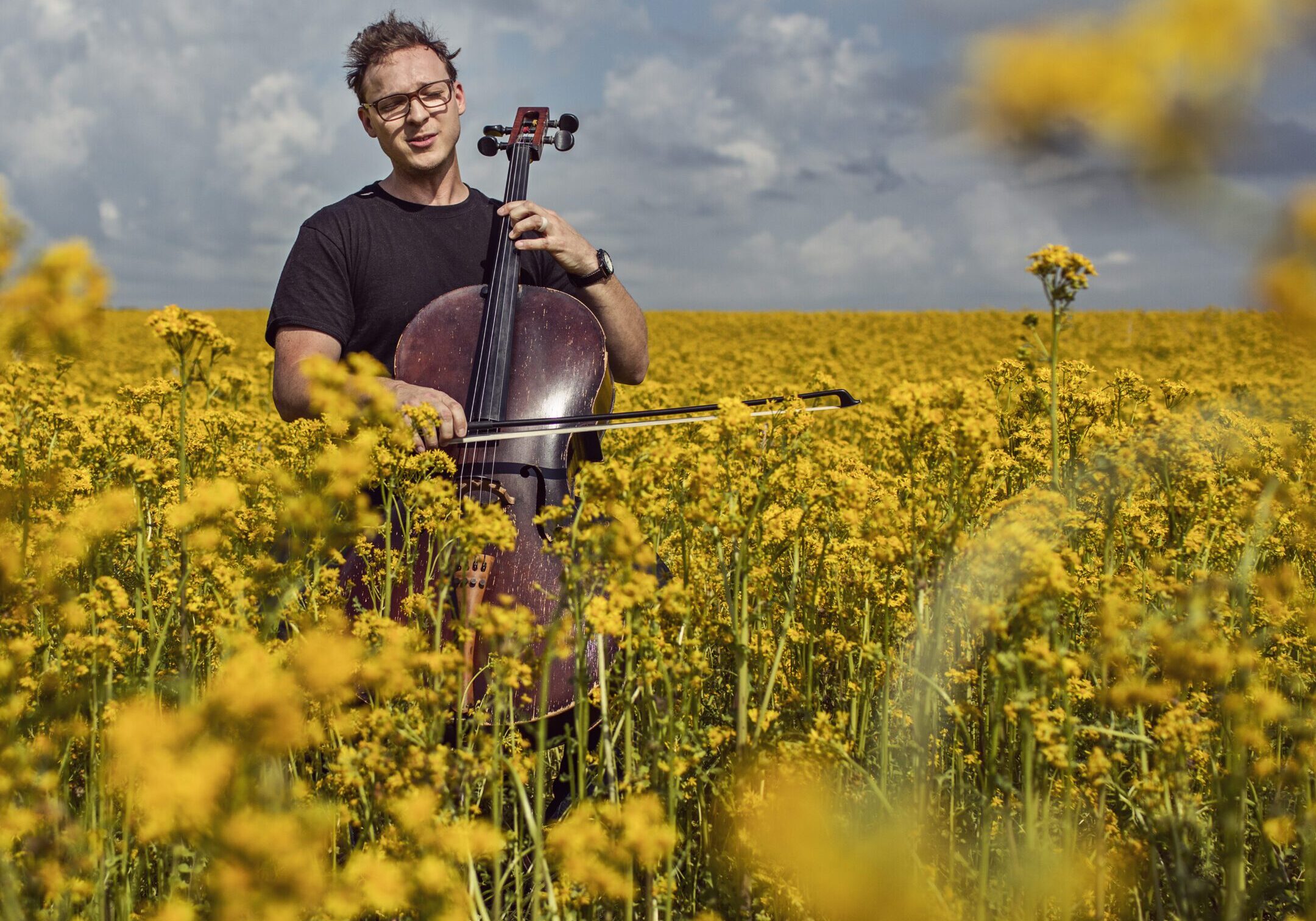 Cellist playing in yellow flower field.