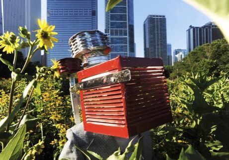 Red robotic head amidst urban greenery.