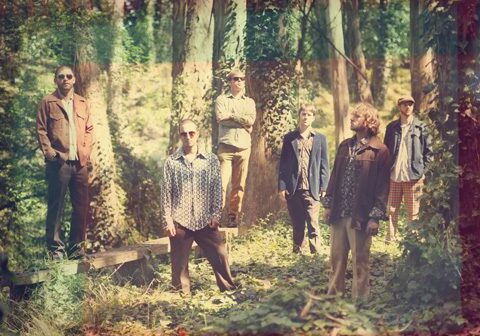 Group of people standing in a forest.
