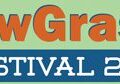 MeadowGrass Music Festival 2013 logo banner.