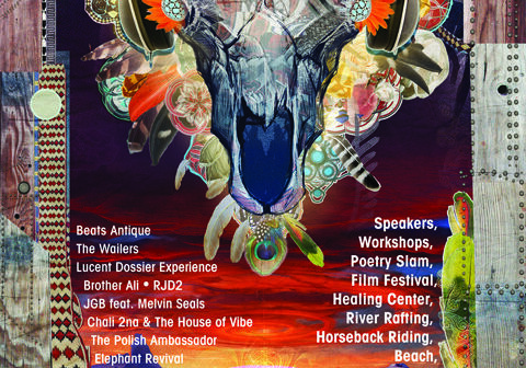 Desert Rocks Music Festival promotional poster.