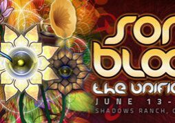 Colorful Sonic Bloom festival poster, 2013.