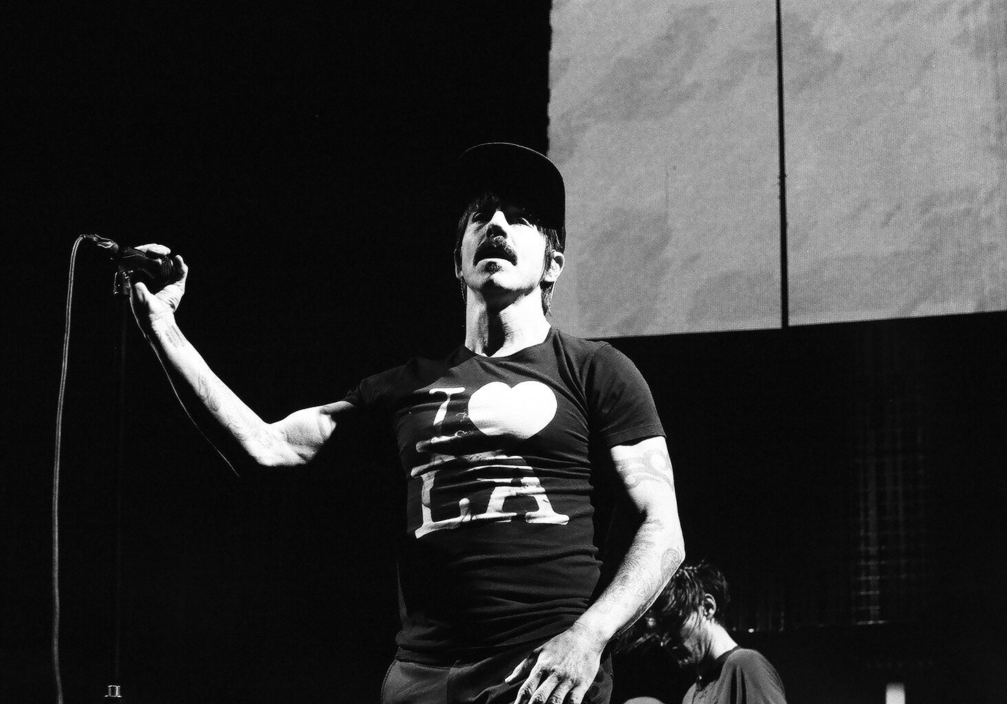 Singer performing on stage with microphone.