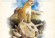 Cougar on giant guitar by water.