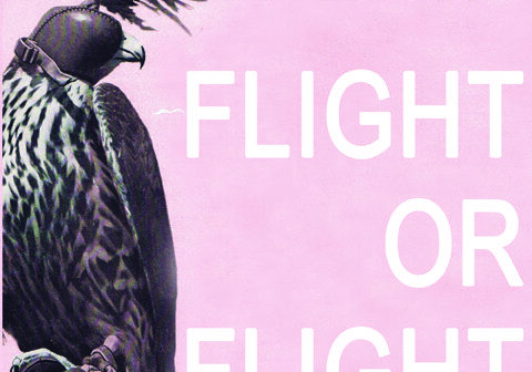 Falcon with text on pink background.