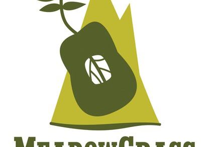 MeadowGrass Music Festival logo with guitar.