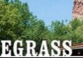 Planet Bluegrass sign with nature background.