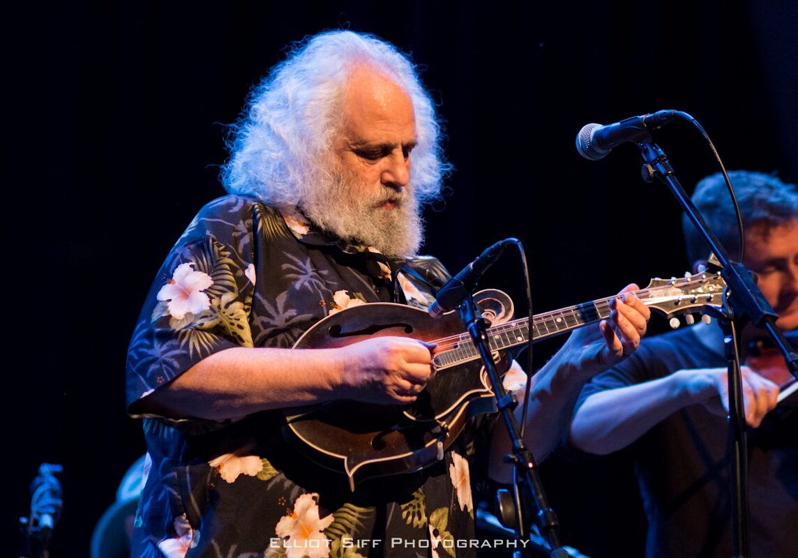 Musician playing mandolin on stage at concert.