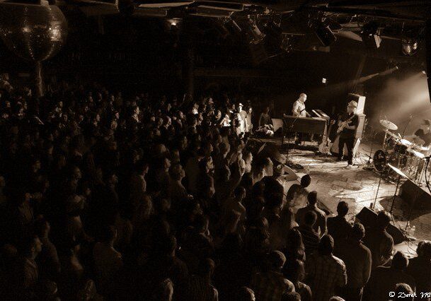 Concert crowd enjoying live band performance.